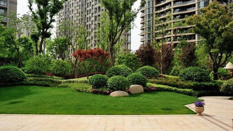 S16版本强势英雄有哪些？各位置选角与阵容判断思路